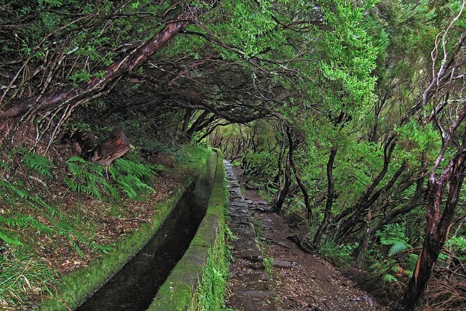 Madeira Levada Walk - Rabacal Lakes and Fountains - Group Size and Difficulty
