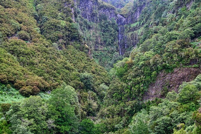 Madeira Levada Walk - Rabacal Lakes and Fountains - Inclusions and Logistics