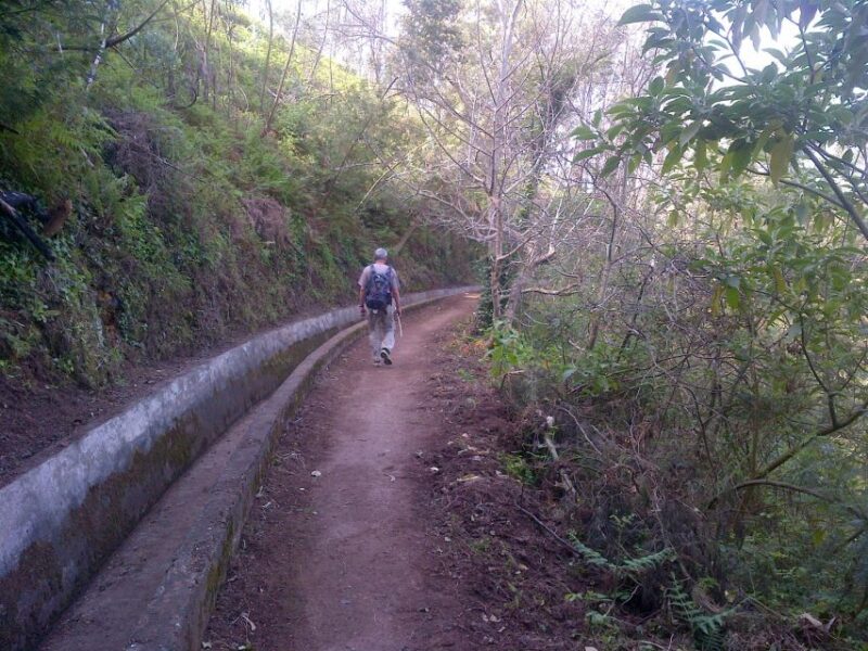 Madeira: Levado Do Norte 2-Hour Hiking Tour - Activity Highlights