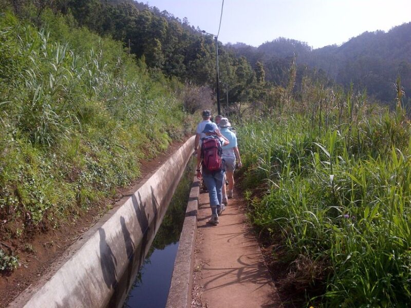 Madeira: Levado Do Norte 2-Hour Hiking Tour - Important Considerations