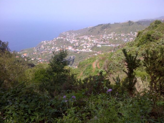 Madeira: Levado Do Norte 2-Hour Hiking Tour - Price and Languages