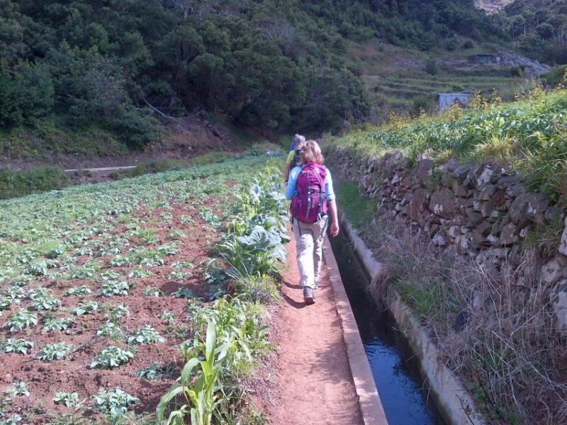 Madeira: Maroços Landscapes 2.5-Hour Guided Walk - Booking and Cancellation Policies