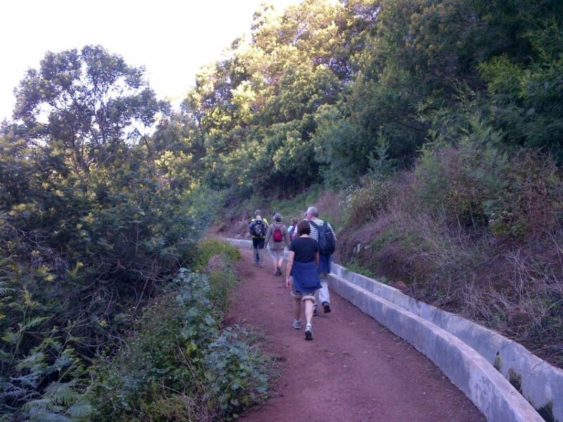 Madeira: Maroços Landscapes 2.5-Hour Guided Walk - Experience Highlights