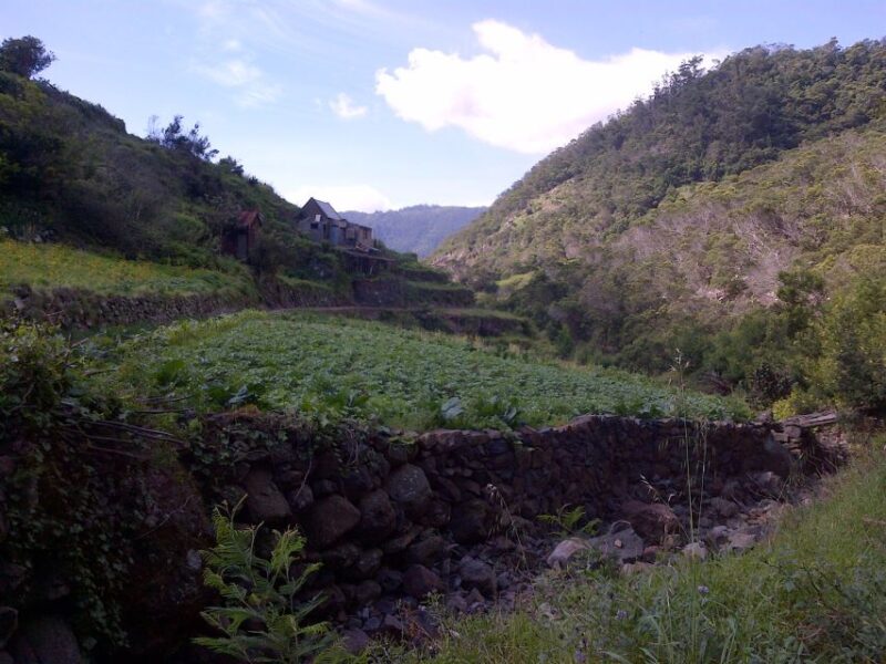 Madeira: Maroços Landscapes 2.5-Hour Guided Walk - Inclusions and Exclusions