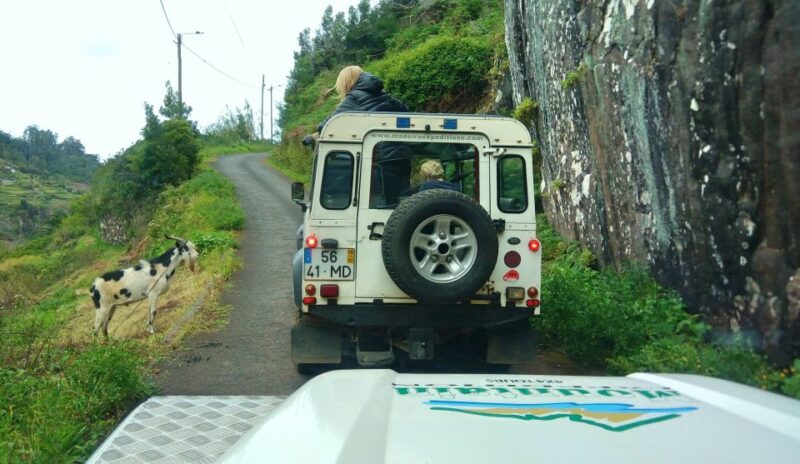 Madeira: Mini-Combo East Challenge: Jeep Safari + Levada - Inclusions and Exclusions
