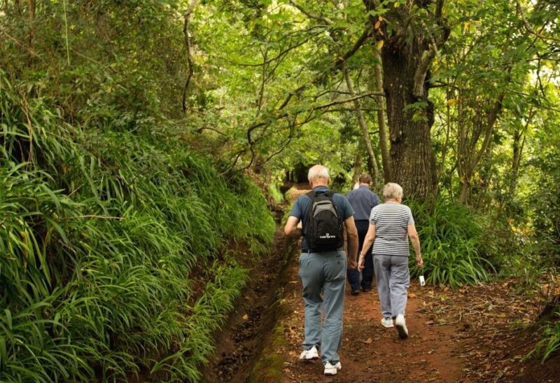Madeira: Mini-Combo East Challenge: Jeep Safari + Levada - Important Meeting Details