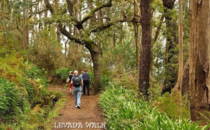 Madeira: Mini-Combo East Challenge: Jeep Safari + Levada - Recommended by Travelers
