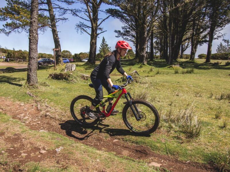 Madeira : Mountain Bike Trail Experience - Key Points