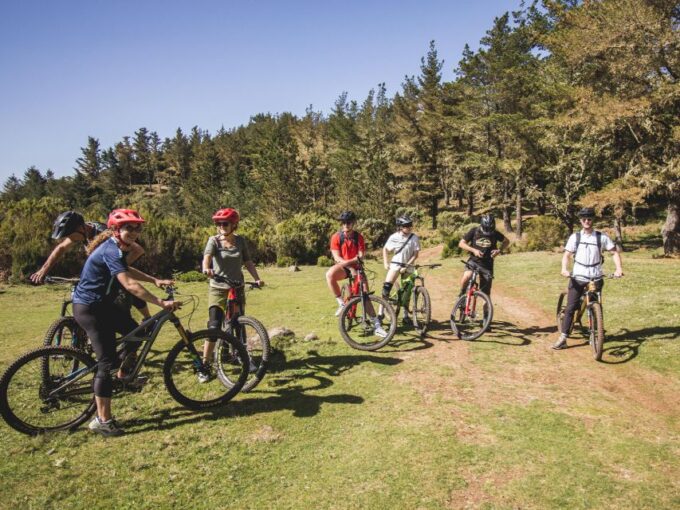 Madeira : Mountain Bike Trail Experience - Flexible Booking