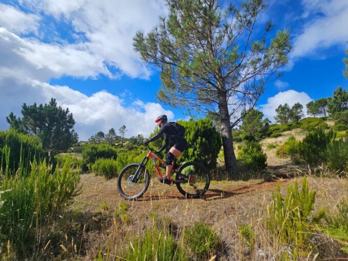 Madeira - Mountain Biking Tour - Local Cuisine Options