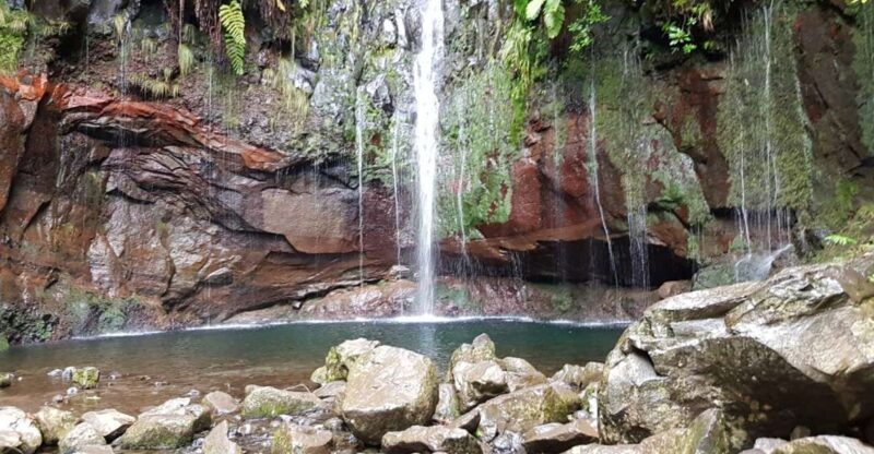 Madeira: Mountain Walk With Lagoon and Waterfalls - Included Services