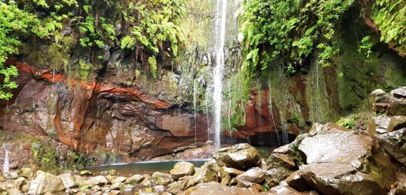 Madeira: Mountain Walk With Lagoon and Waterfalls - Customer Reviews