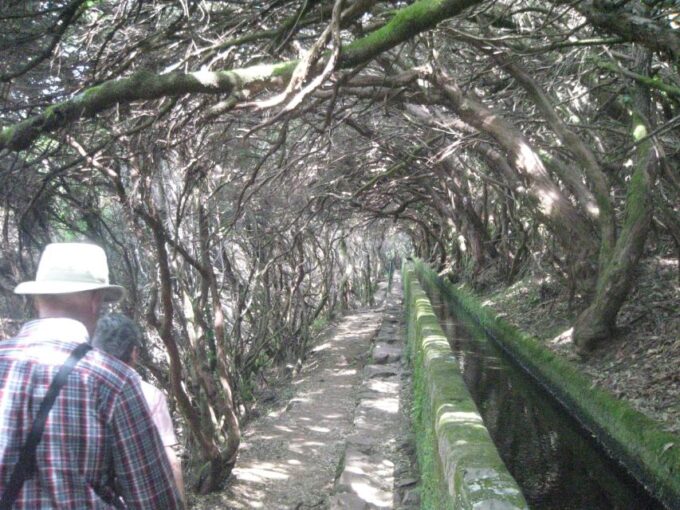 Madeira: Mountain Walk With Lagoon and Waterfalls - Scheduling and Timing