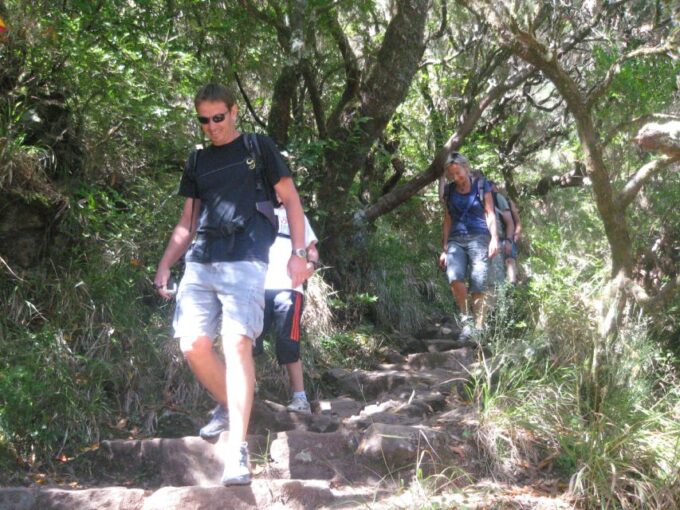 Madeira: Mountain Walk With Lagoon and Waterfalls - Scenic Highlights