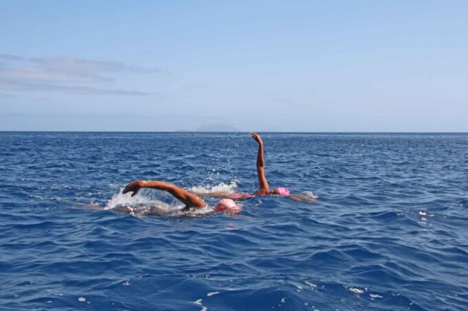 Madeira: Open Water Swimming - Booking and Cancellation