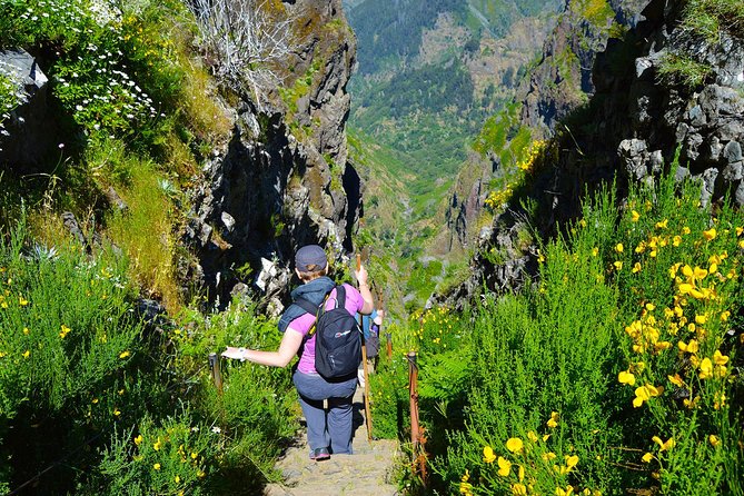 Madeira Peaks - Mountain Walk - Meeting and Pickup Options