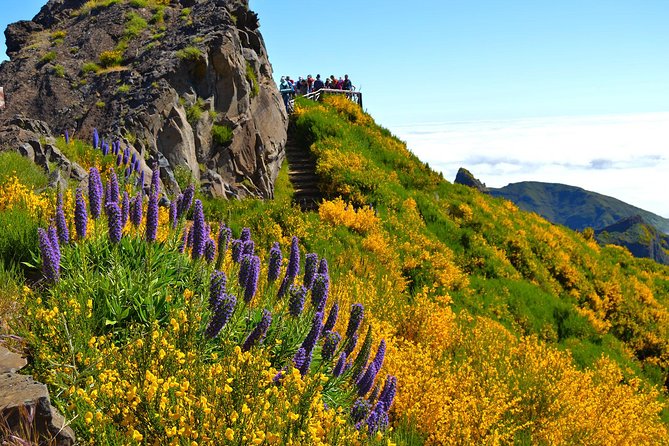 Madeira Peaks - Mountain Walk - Scenic Panoramic Views