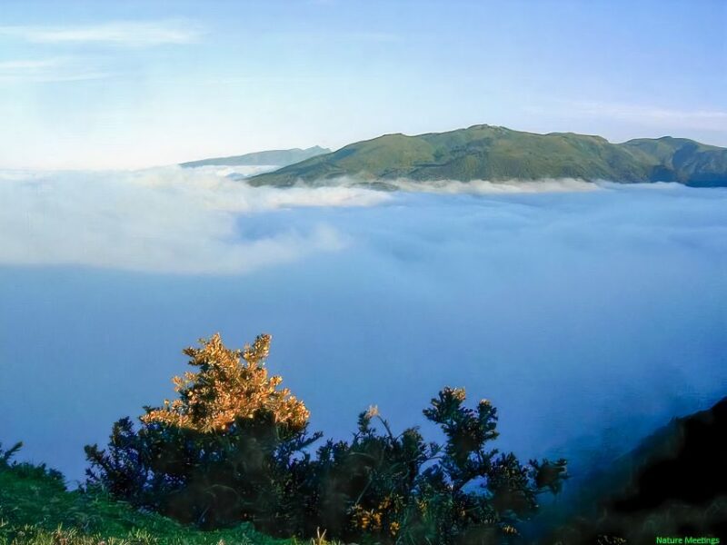 Madeira: Pico Arieiro to Pico Ruivo Hike - Key Points