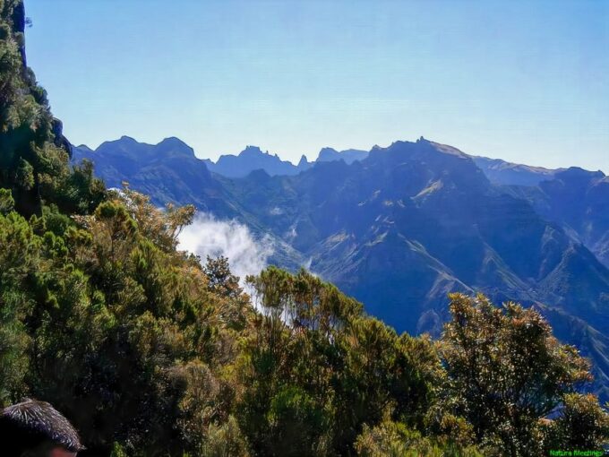 Madeira: Pico Arieiro to Pico Ruivo Hike - Reaching the Summit