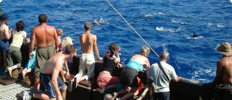 Madeira Pirate Ship: 3-Hour Boat Trip - Wildlife and Scenic Highlights