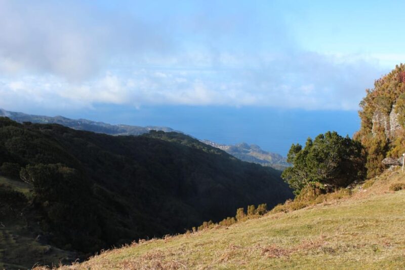 Madeira Plateau Walks - Booking Information