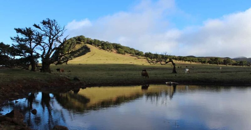 Madeira Plateau Walks - Tour Highlights