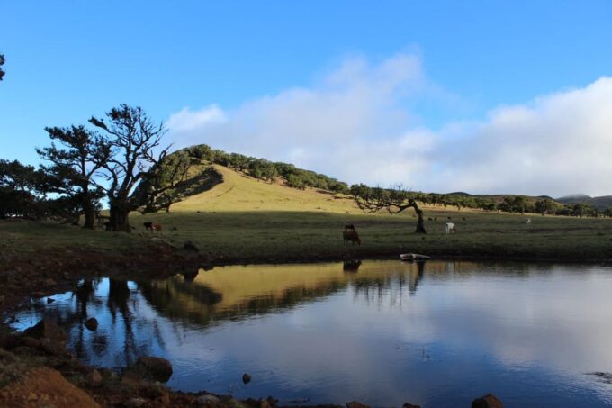 Madeira Plateau Walks - Frequently Asked Questions