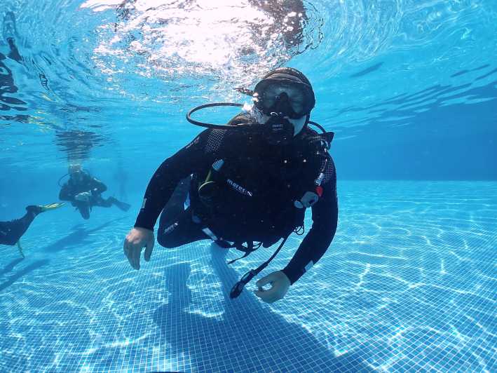 Madeira, Ponta São Lourenço: Scuba Diving for Beginners - Activity Overview
