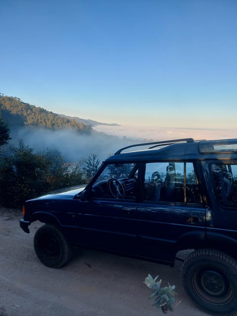 Madeira: Porto Moniz Lava Pool & Magic Fanal Forest Jeep4x4 - Key Points