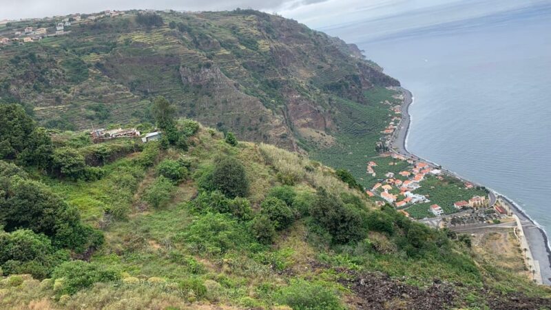 Madeira: Porto Moniz Lava Pool & Magic Fanal Forest Jeep4x4 - Adventurous Off-road Journey