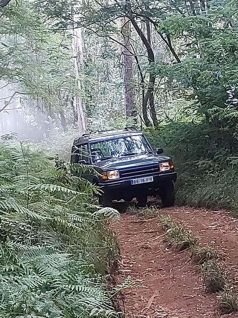 Madeira: Porto Moniz Lava Pool & Magic Fanal Forest Jeep4x4 - Gastronomy and Local Flavor