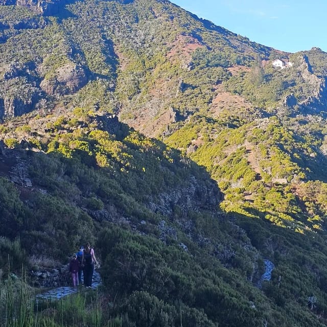 Madeira: PR1.2: Pico Ruivo Hiking Trail by Overland Madeira - Essential Information