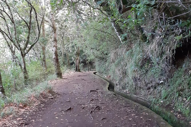 Madeira: Private 1.5-Kilometer Levada Dos Balcões Hike PR11 - Scenic Views and Highlights