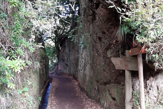 Madeira: Private 1.5-Kilometer Levada Dos Balcões Hike PR11 - Reviews and Recommendations