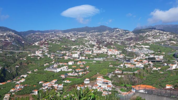 Madeira: Private Banana Farm Tour With Pickup - Tour Experience