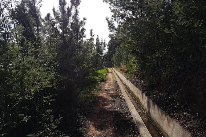 Madeira: Private Camacha Levada Do Tornos Walk - Participant Information