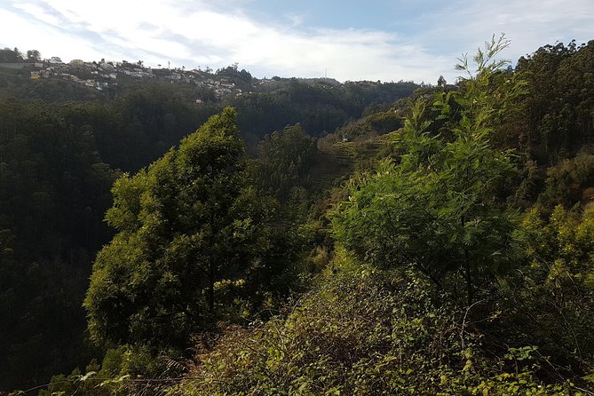 Madeira: Private Camacha Levada Do Tornos Walk - Exploring the Camacha Levada