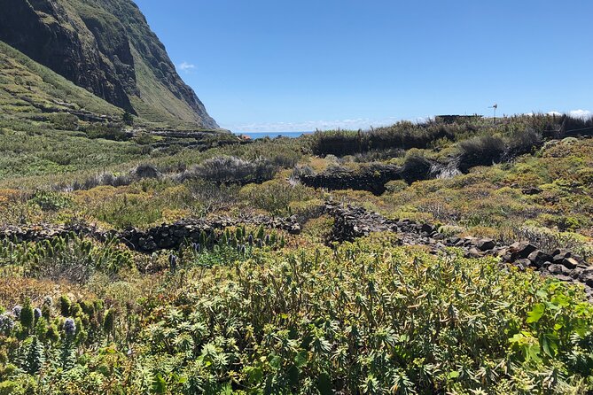 Madeira: Private Guided Half-Day Tour of Northwest Madeira - Scenic Stops: Chão Dos Louros