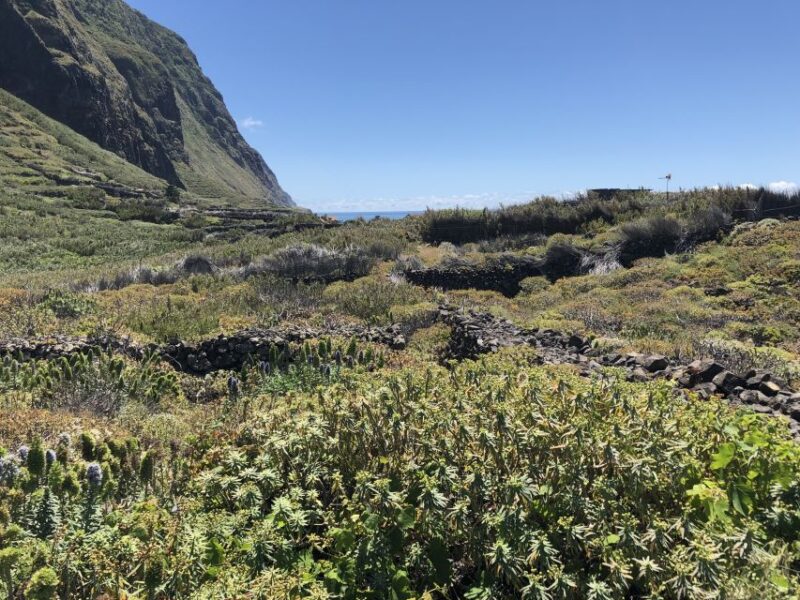 Madeira: Private Guided Half-Day Tour of Northwest Madeira - Tour Duration and Price