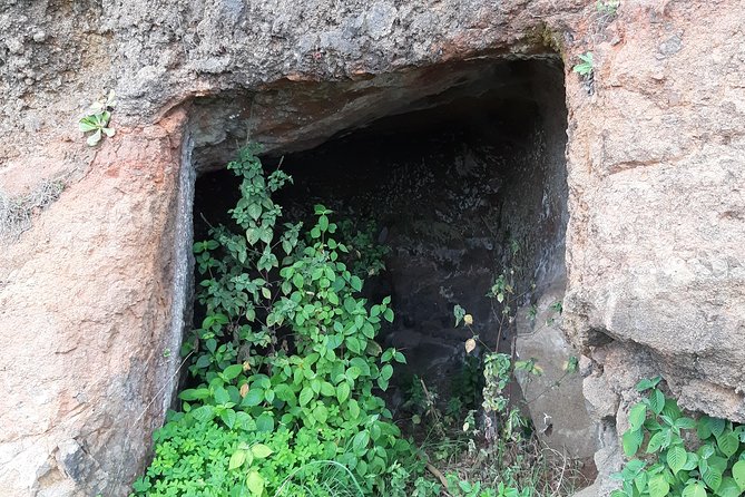 Madeira: Private Guided Levada Do Norte Walk - Experiencing the Levada Do Norte Landscape
