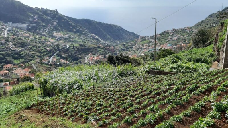 Madeira: Private Guided Levada Do Norte Walk - Booking and Cancellation Policy