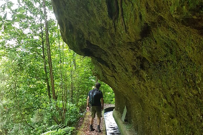Madeira: Private Guided Levada Dos Tornos Boaventura Hike - Exploring Levada Dos Tornos