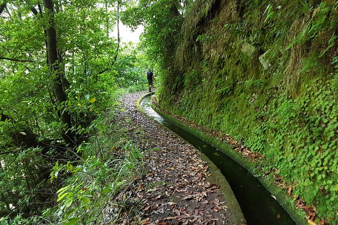 Madeira: Private Guided Levada Dos Tornos Boaventura Hike - Boaventura Landscape