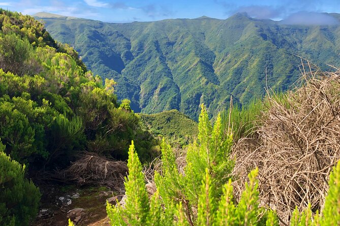 Madeira: Private Guided Walk Vereda Fanal PR13 - Fitness and Accessibility