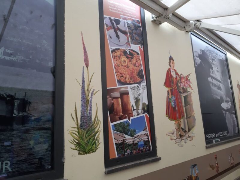 Madeira: Private Half-Day Historic Tour - Pricing and Booking