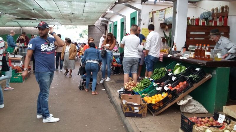 Madeira: Private Half-Day Local Market Tour - Pickup and Drop-off
