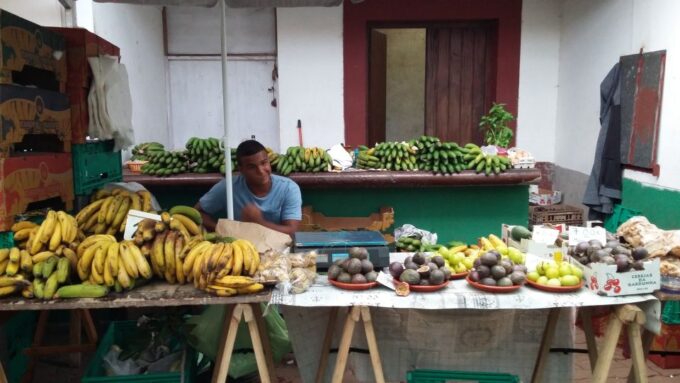 Madeira: Private Half-Day Local Market Tour - Frequently Asked Questions