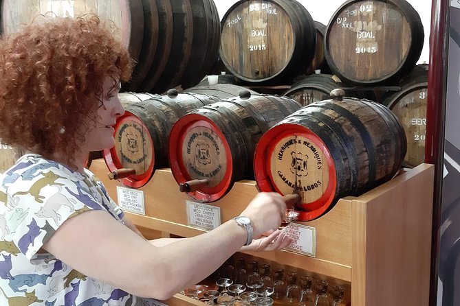 Madeira: Private Half-Day Wine Tasting Tour - Wine Tasting Insights