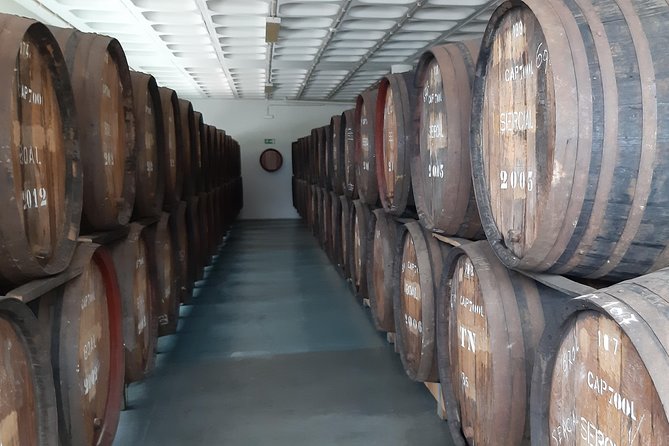 Madeira: Private Half-Day Wine Tasting Tour - Family-Run Winery