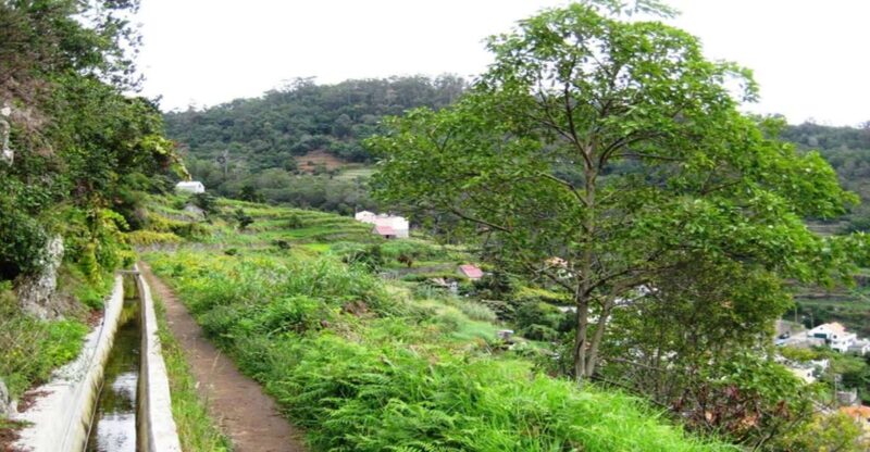 Madeira: Private Hike From Levada Do Caniçal to Machico - Pickup and Transportation Options